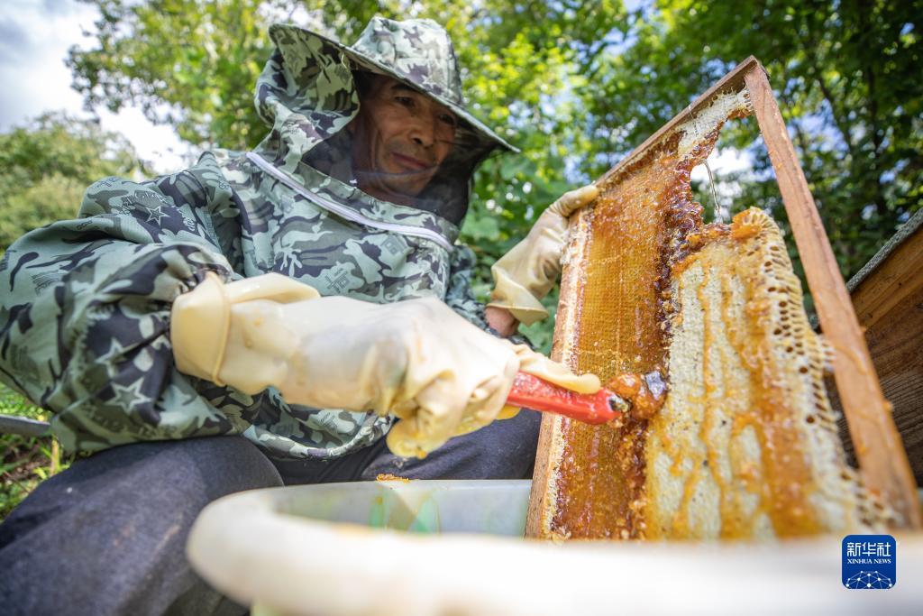 越南老街赌场有几个